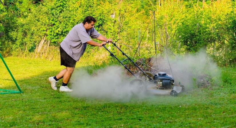 Ha ezt a két tanácsot betartod, biztosan nem a szomszéd kertje lesz zöldebb