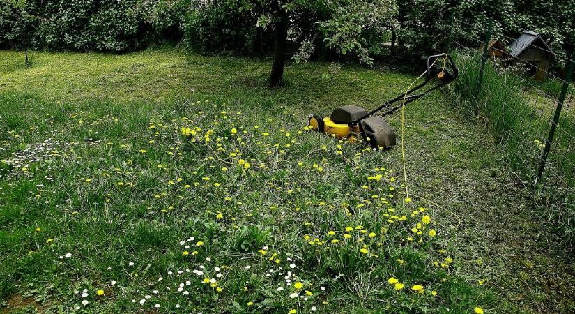 Felhívás – Teljesen máshogy kaszáljunk, mint eddig!
