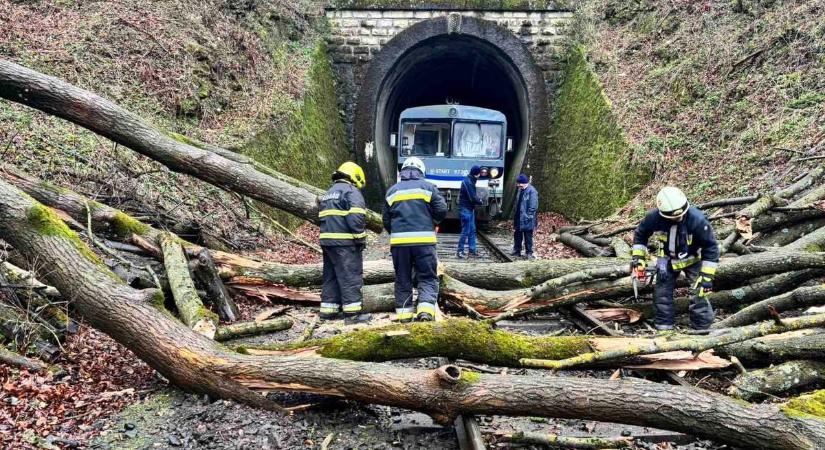 Kidőlt fa akadályozta a vasúti közlekedést a Bakonyban (képek)