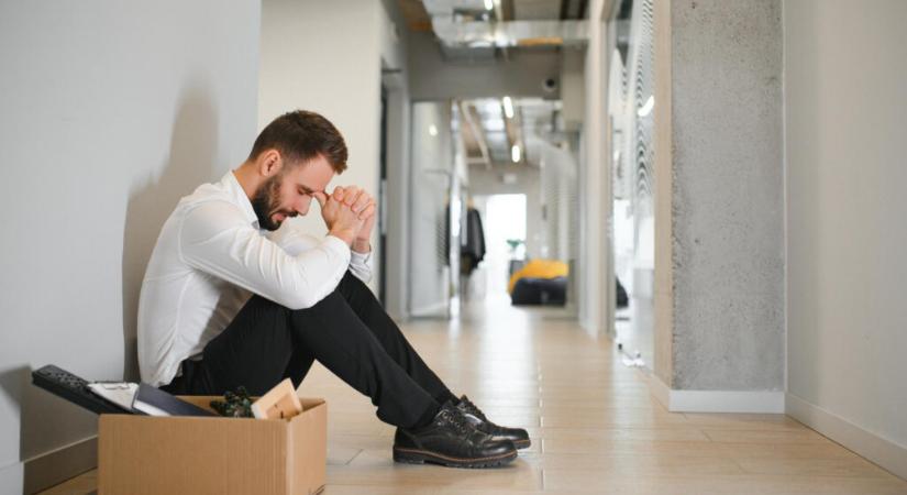 Sok a munkalehetőség Szabadkán, angolul tudó egyetemi végzettséggel rendelkezőket keresnek