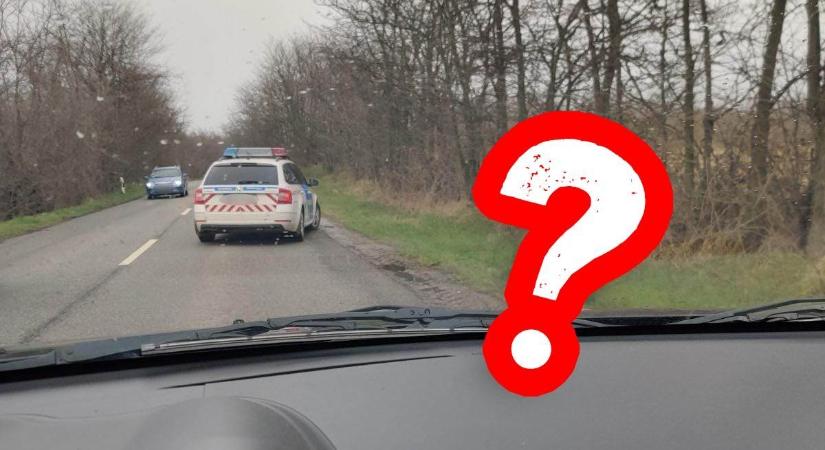 Pályatévesztett utazó: különös vándort fotóztak egy szabolcsi út mellett