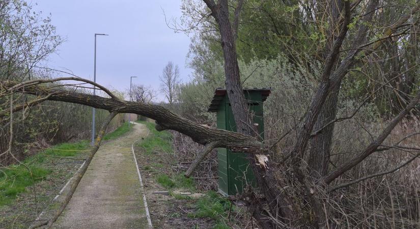 Így tarolta le a vihar a közkedvelt horgásztó partját: még mobilvécék is repültek (galéria)