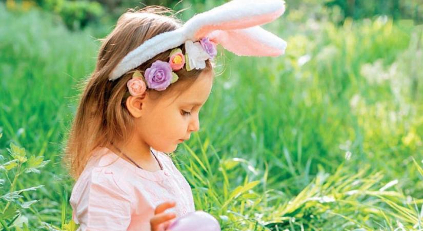 Hajdú-Bihar vármegyei infó magazin