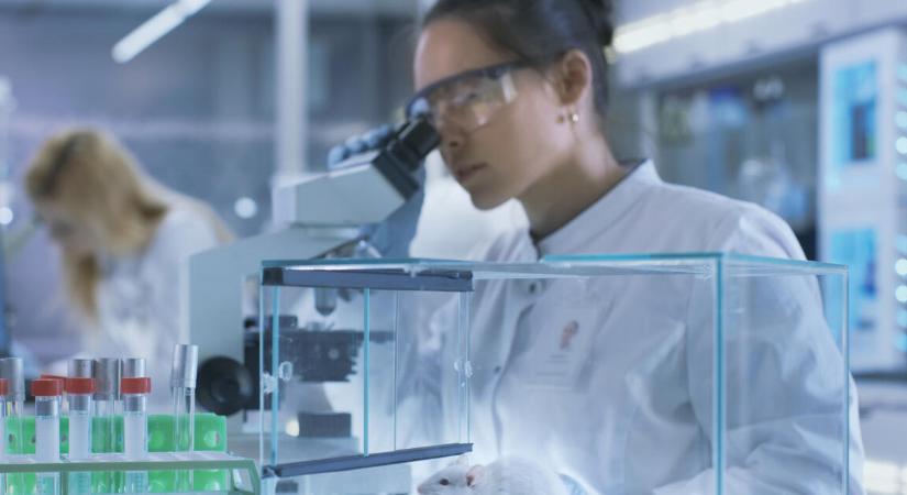 AI segítségével kutató gyógyszercéggel társul az Eli Lilly