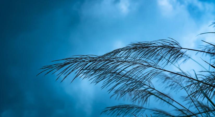 Meteorológia: megdőlt az országos szélrekord vasárnap