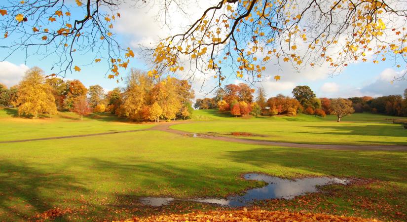 Fűnyírással kapcsolatban hívta fel a figyelmet egy fontos dologra a természetvédelmi egyesület