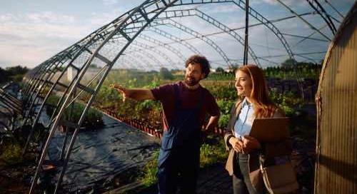 NAK: újabb szabadkereskedelmi alkuk fenyegethetik az EU agráriumát és a fogyasztókat