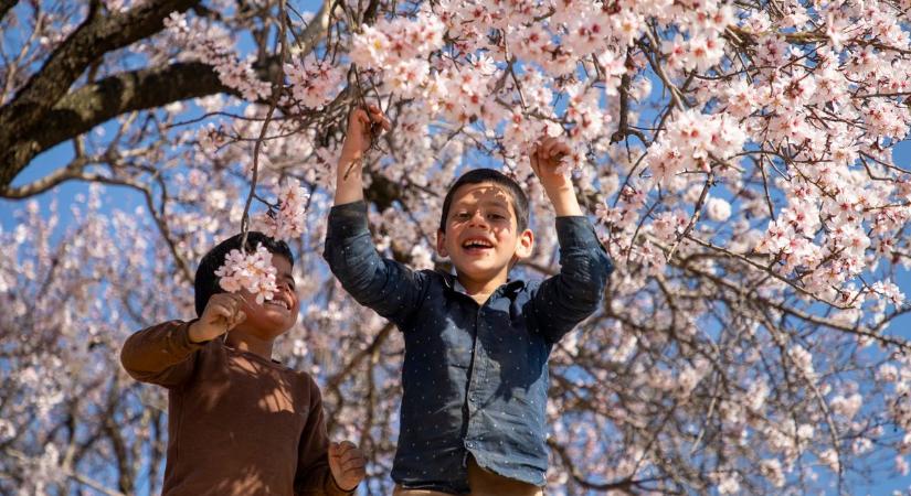 Tavaszi szünet 2026: ilyen programokkal készülj az időjárás alapján