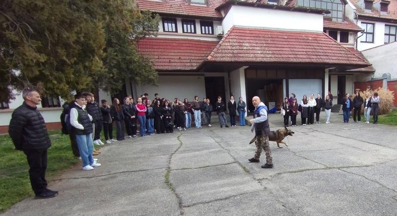 Kutyás bemutató, rabosítás, tárgyalás