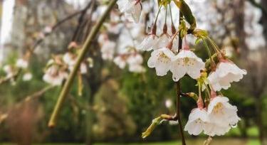 Eső jön, de nem jut belőle mindenhova