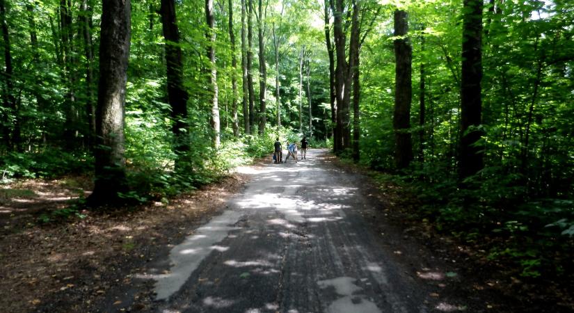 Élősködők támadására figyelmeztetnek: vannak, akik veszélyeztetettebbek