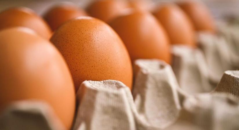 Rossz hír jött a tojásról a Lidl, a Penny és az Aldi boltjaiban