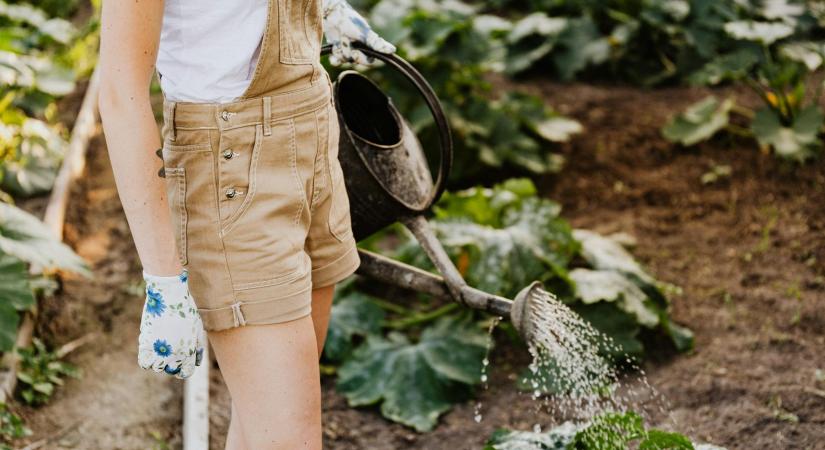 Miért hasznosak a közösségi kertek?