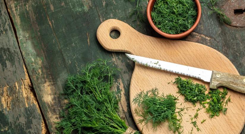 Ha így ülteted el, gyönyörű kapor nőhet a kertedben