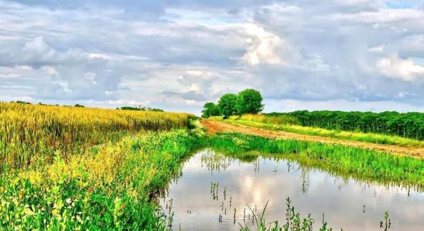 A klímaváltozás elleni védekezés a talajban kezdődik