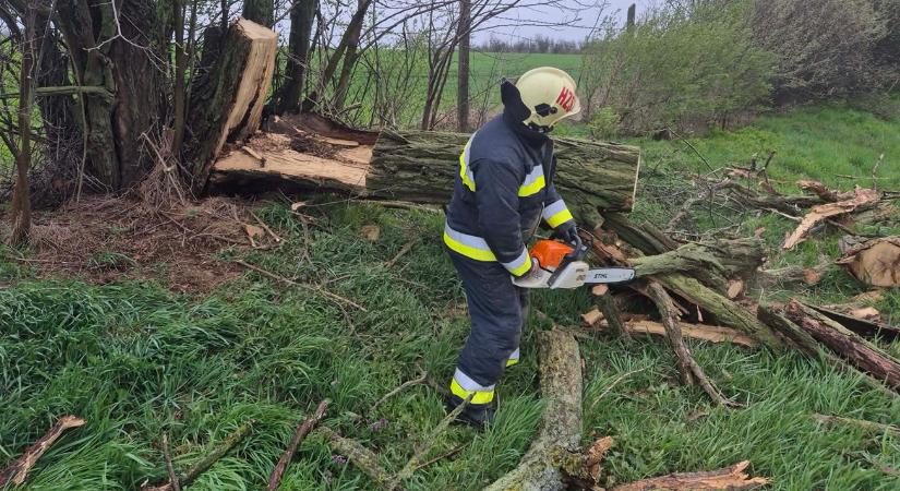 Tomboló szél, milliós károk: siratják a kertjeiket és fóliasátraikat a dunántúliak