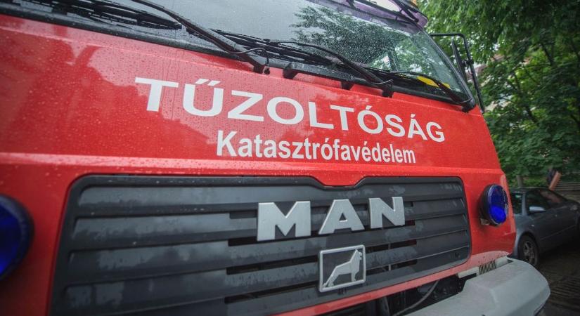 Tűzoltók érkeztek a debreceni állatkerthez: kiderült, mi történt az oroszlánoknál