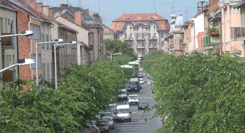 Forgalomkorlátozás mellett folytatódik a fametszés holnap Szombathelyen