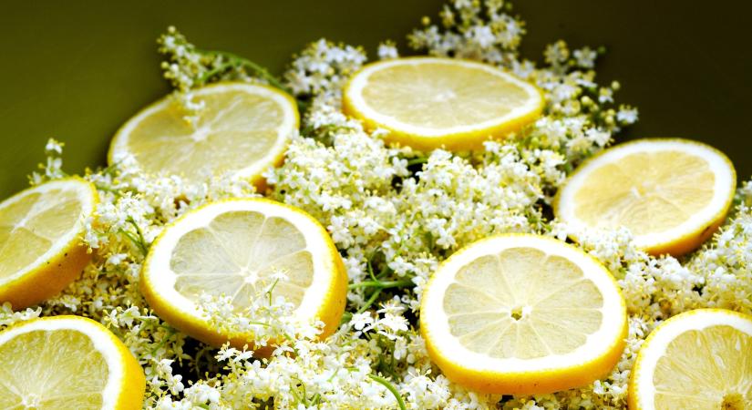 Mindent a bodzáról