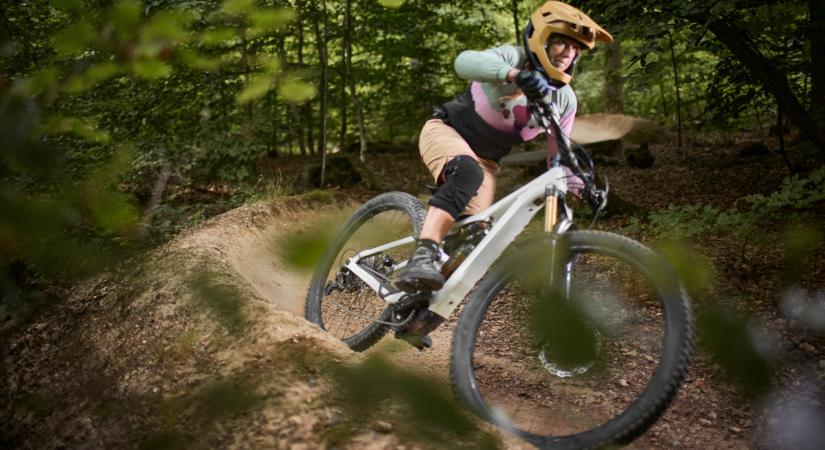 Illegális downhillpályák tarolhatják le a védett erdőket: egyre súlyosabb a helyzet Budapest környékén