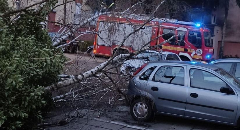 Úttestre és autókra dőltek a fák: 12 épület is megrongálódott (FOTÓK)
