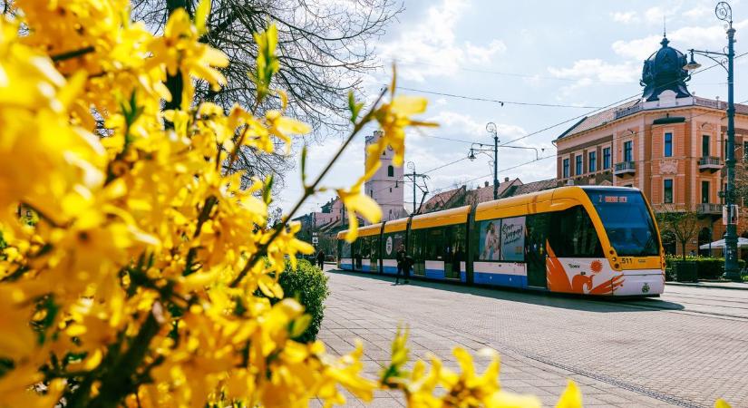 Virágba borult a tavaszi Debrecen