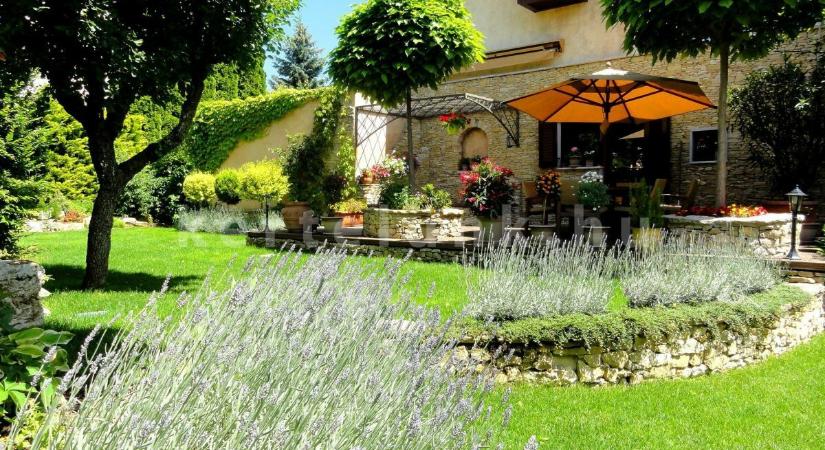 Válogatás gyönyörű mediterrán jellegű kertekből