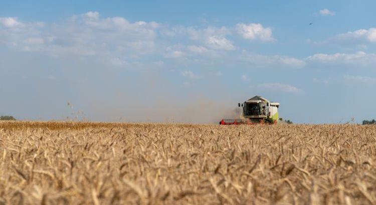 Fordulat a hazai agráriumban: az új profit a válságállóság