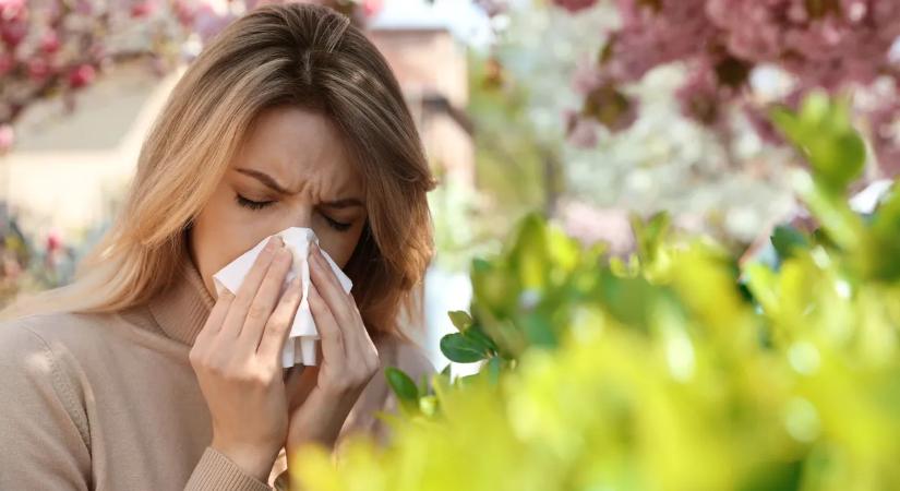 Ezekkel az egyszerű trükkökkel búcsút mondhatsz a pollenallergia kellemetlen tüneteinek