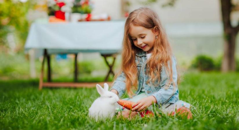 Még mindig sokan csinálják ezt húsvétkor, pedig nagy baj lehet belőle: börtönnel is büntethető