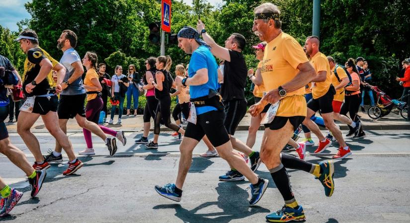 Nyuszi, mozgás és vidámság: futónap várja a családokat Tapolcán