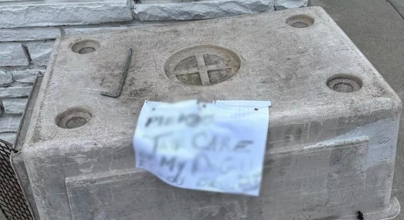 Cetlit talál a kitett kutya mellett az állatmentő: ami rajta áll, szívekig hatol