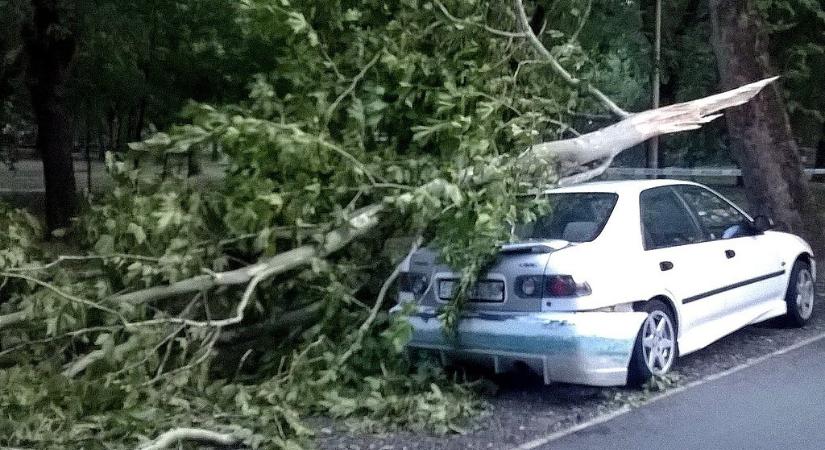 Megdőlt az országos szélrekord Magyarországon