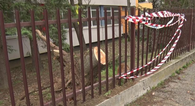 Deborah-ciklon letarolta Zalát: 282 riasztás, súlyos károk