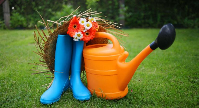 Kert: A babasampon lehet a titkos fegyver, amitől dús lesz a gyep