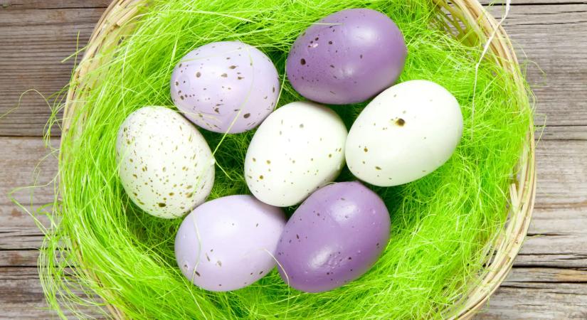 Húsvéti razzia: tonnaszám vont ki élelmiszert a Nébih