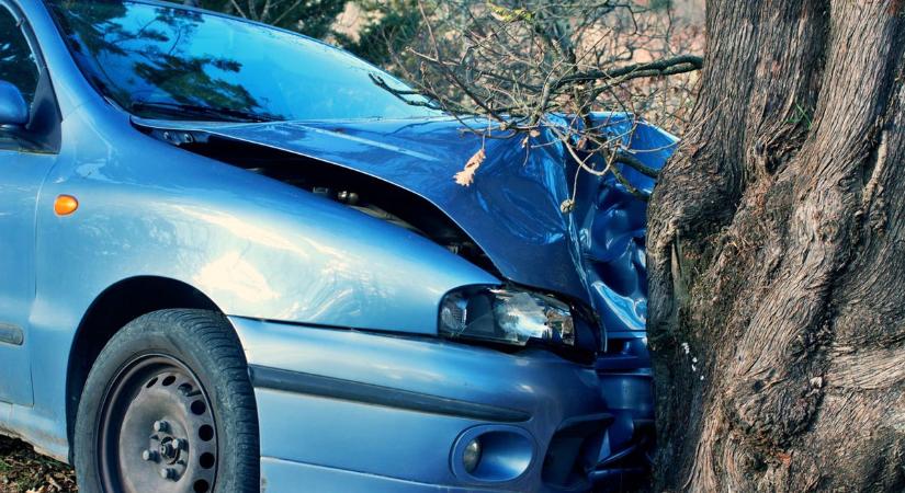 Árokba hajtott, majd fának csapódott egy autó Őcsénynél