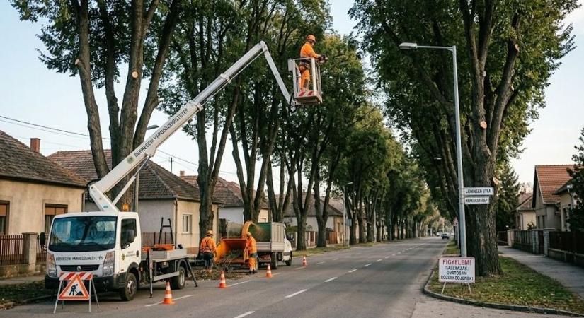 Megkezdődtek a faápolási munkálatok Debrecen egyik városrészében