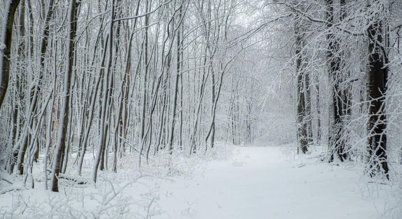 Megbolondult az időjárás: vastag hótakaró fedte be a Bakonyt