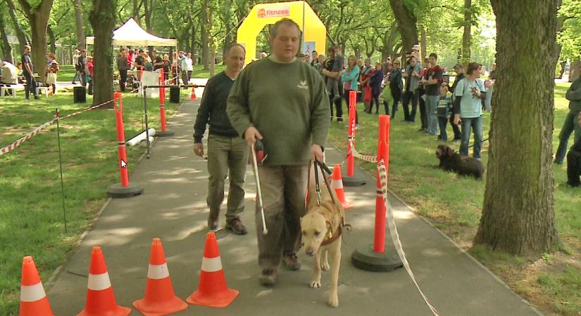 Braille-írást olvashatunk és vakvezető kutyára is rábízhatjuk magunkat Debrecenben