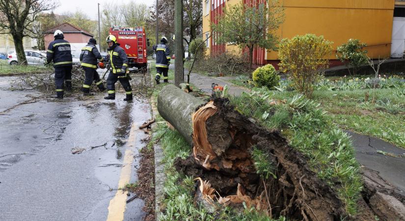 Több száz milliós kárbejelentésre számít a Groupama Biztosító a hétvégi szélviharok miatt