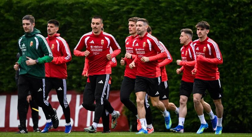 Kezelik a magyar válogatott sérült játékosát