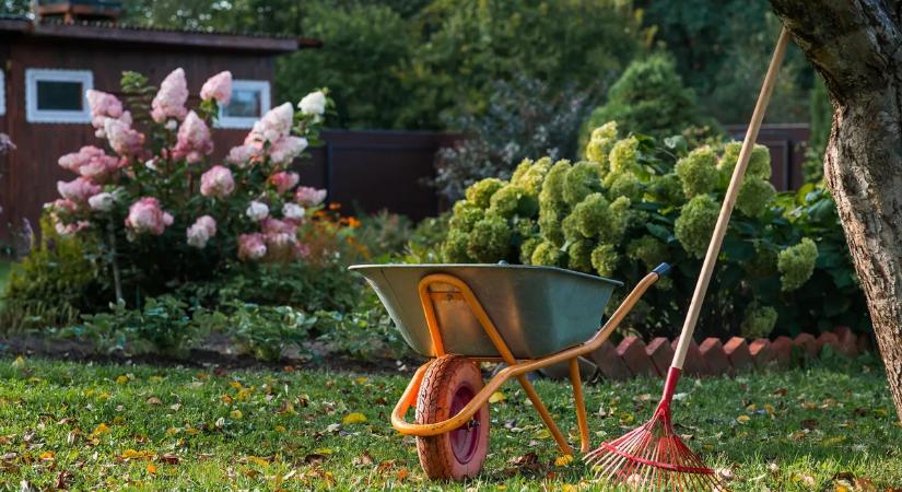 Nálad még a fű se nő? Ezeket a talajtakarókat ültesd helyette