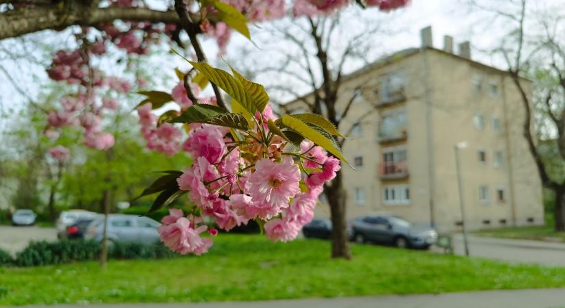 Esernyőre szükség lesz, eső és erős szél érkezik Dunaújvárosba