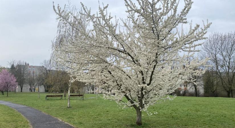 Borongós és változékony – holnap sem egyszerű nap vár Borsod‑Abaúj‑Zemplénben
