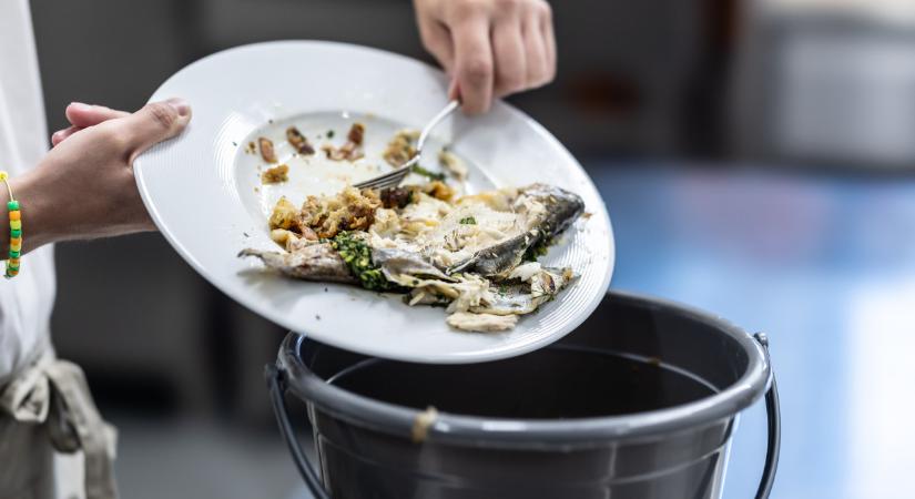 Rengeteg pénzt dobnak a kukába a magyarok: ezen úszik el a családi kassza