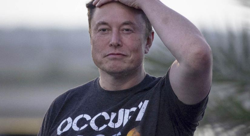 Anime lányokkal dúlja fel a kriptopiacot Elon Musk