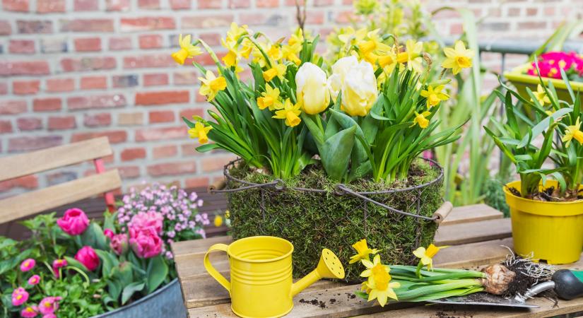 Így készíts pár ezer forintból húsvéti díszeket otthonodba