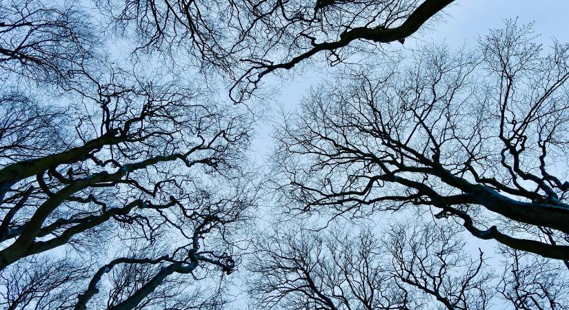 A román Bermuda-háromszögben a tudomány is csődöt mond, a Discovery kutatói vallottak arról, hogy mit éltek át