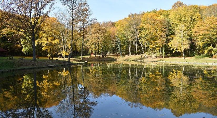 Ezekbe a somogyi arborétumokba érdemes kilátogatni, ha végre megérkezik a tavaszias idő